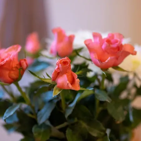 Hall - The Old Dairy