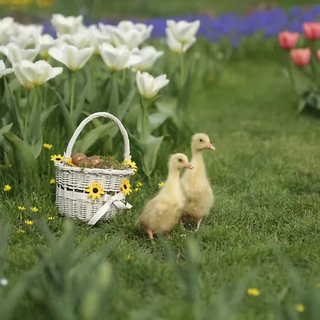Appartement Hall - The Old Dairy *