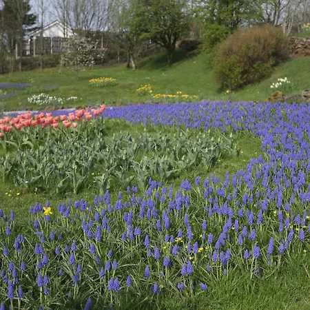Hall - The Old Dairy * Rowrah